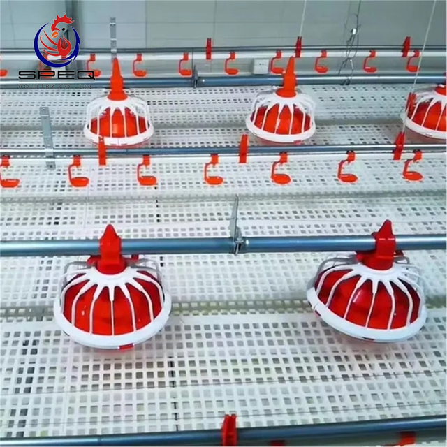 Livestock Chicken Shed Automatic Poultry Farming System Floor Raising System for Sale.