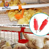 Farming Port Poultry Farm Drinking System for Chicken House