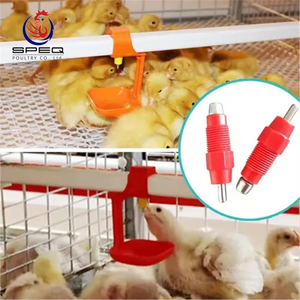 Farming Port Poultry Farm Drinking System for Chicken House
