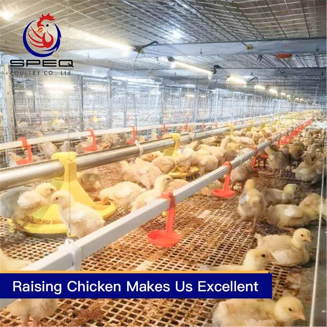 Philippines Chicken Cage 2-4 Tiers Chain Type Harvesting Broiler Cage