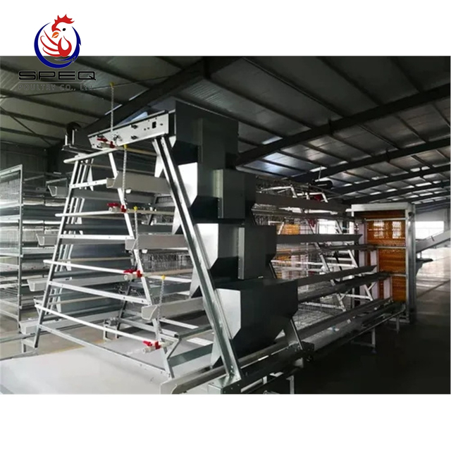 A Type Automatic Poultry Farm Cage For Layer/Hen/Egg Chicken.