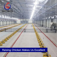 Practical broiler floor rearing chicken cage poultry farm equipment for sale