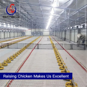 Practical broiler floor rearing chicken cage poultry farm equipment for sale