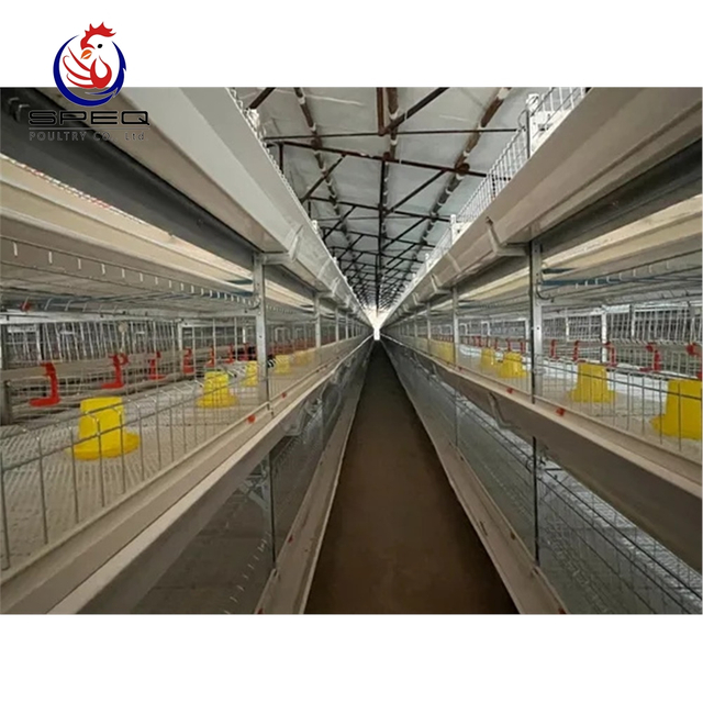 Good Price Automatic Egg Layer Chicken Farm Laying Hens Poultry Battery Cages for Sale