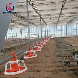 Automatic Broiler Chicken Battery Cage Poultry Feeding System