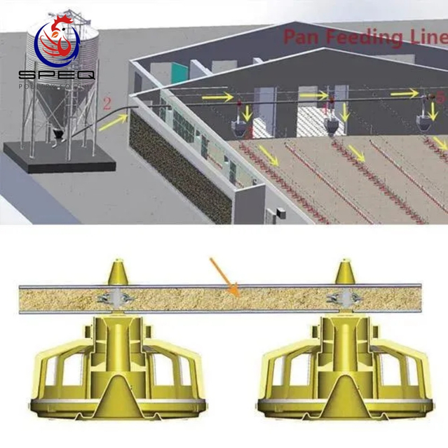 Poultry Farming Chicken Feeder Equipment Complete Automatic Broiler Feeding and Drinking Line Machinery