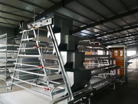 Chinese-Manufacturer-Hot-Sale-Poultry-Farm-Layer-Cage-System-Egg-Equipment (2)
