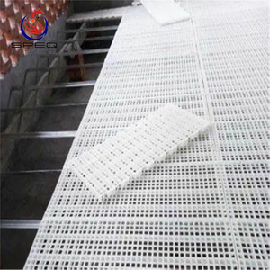 Poultry Farm Floor Raising Breeder Pan Feeding System & Layer Slat Floor Breeding System