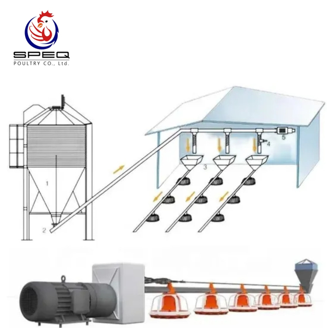 Automated Poultry Nipple Drinker Feeder System with Stainless Steel Components