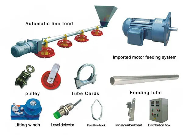 The Best Quality Fully Automatic Feeding Line System Pan Feeder Nipple Drinker Poultry Farming Equipment for Broiler Chicken Products